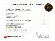 Certificate_DNA - Splash